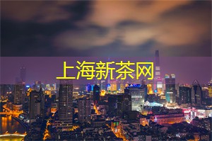 怎么样形容上海夜景灯光的美呢
